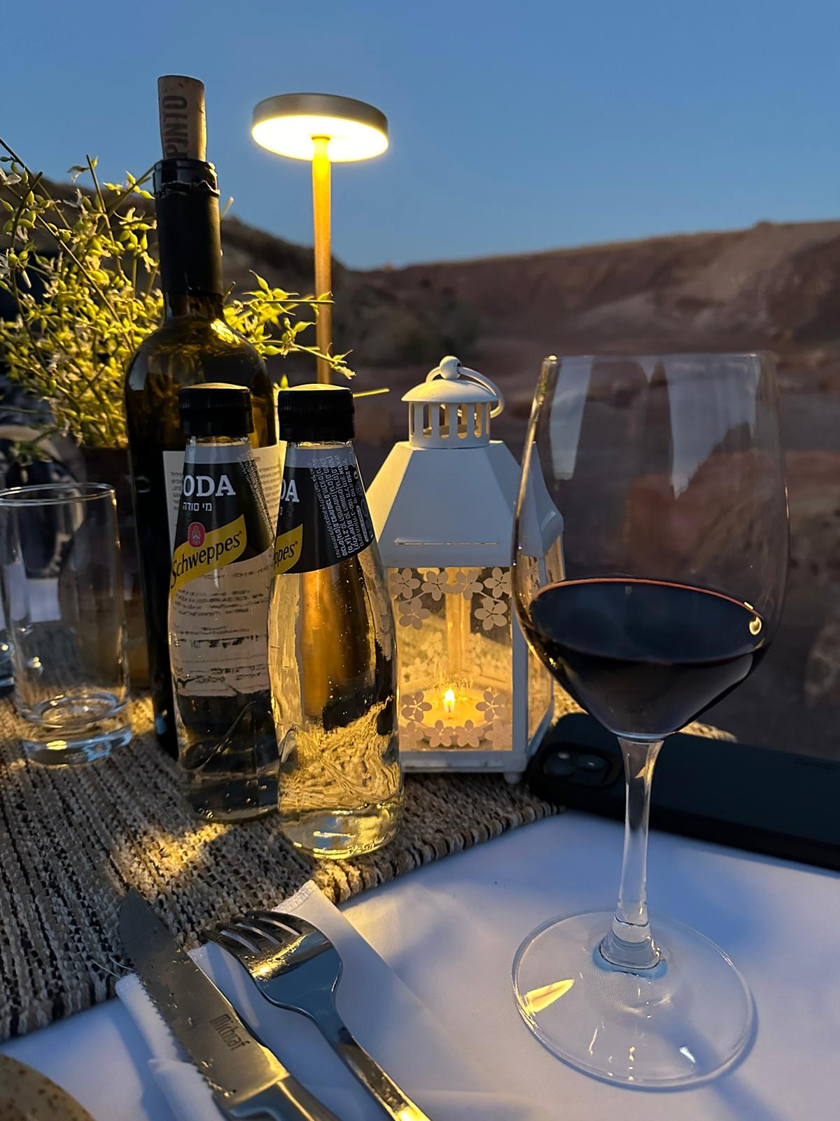 wine in the desert יין אוכל מדבר